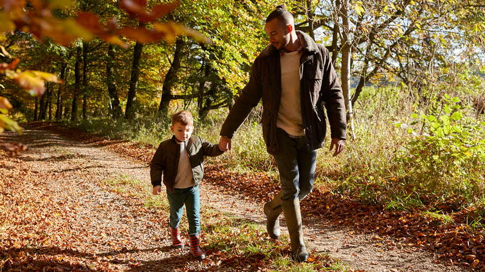 Family walking trails - forest walk